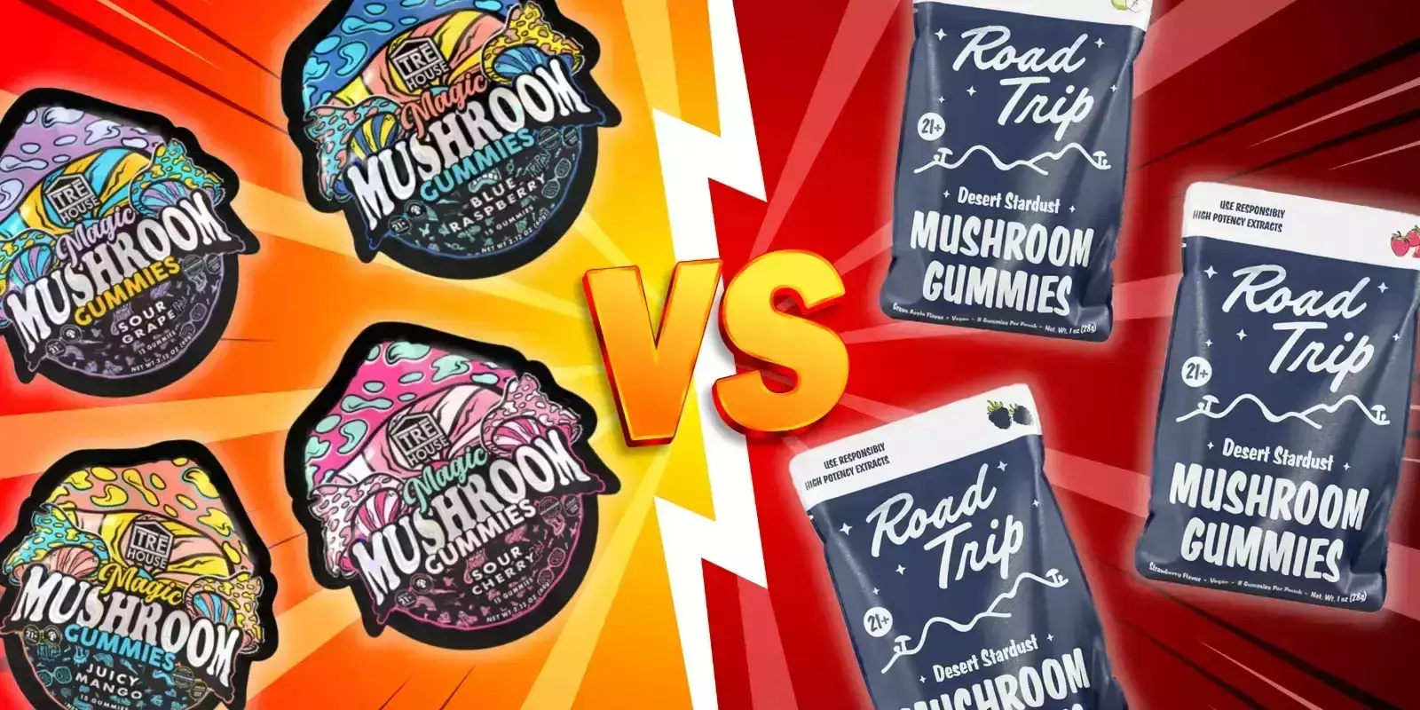 TRE House Vs Road Trip: A Complete Comparison Guide